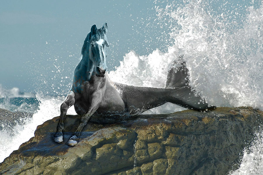 Photoshopped merhorse